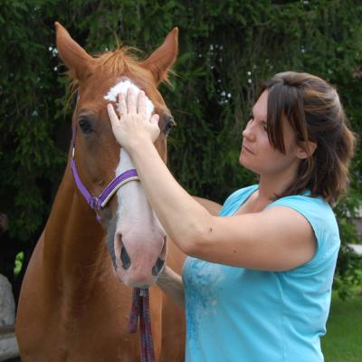 Dipl. Vitalcoach für Pferde - Ganzheitliche Pferdegesundheit