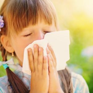 AdobeStock_Altes Heilpflanzenwissen der TEM & Heilkräuter bei Allergien für Kinder - Kurs 