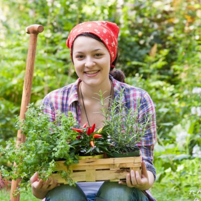 Frau bei der Gartenarbeit Frau bei der Gartenarbeit