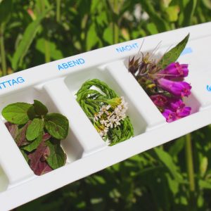 Kräuterkunde - Kräuterrezepte Kräuterkunde - Kräuterrezepte