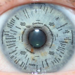 BaBlü® Irisdiagnose Iridologie Ausbildungen