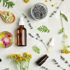 Aromakurse, Kräuterausbildungen, Bachblüten und mehr