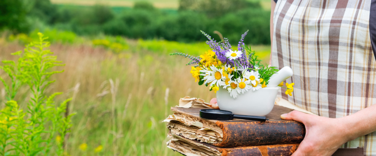 Was ist TEM Kräuterkunde