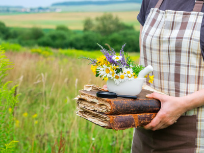 Was ist TEM Kräuterkunde