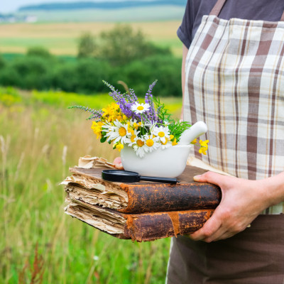 Was ist TEM Kräuterkunde