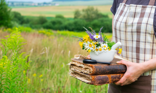 Was ist TEM Kräuterkunde
