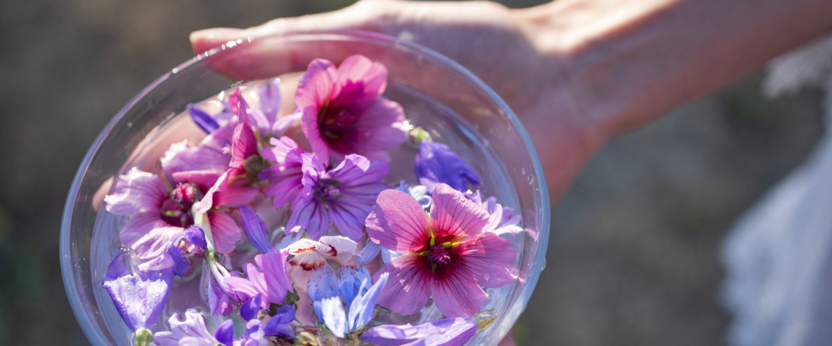 Blüten in Wasserschüssel - Bachblüten Herstellung