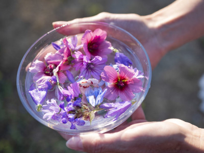Blüten in Wasserschüssel