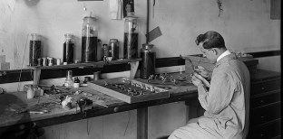 Dr. Bach im Labor Dr. Bach im Labor