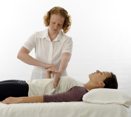 Kinesiologist test indicator muscle