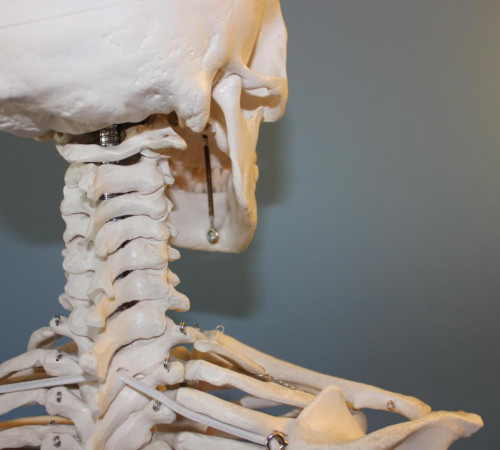 RESET TMJ® Kieferbalance - Rafferty Energie System