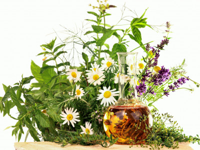 BaBlü® Akademie - Kräuter TEM Heilpflanzen Anwendungen und Ausbildung