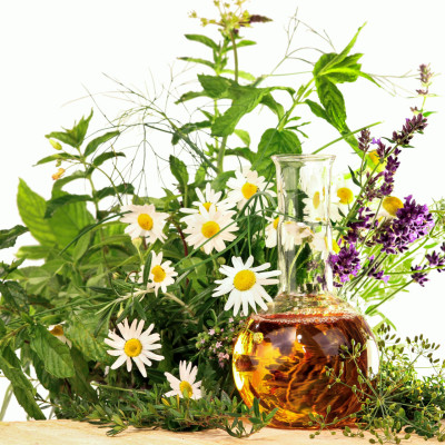 BaBlü® Akademie - Kräuter TEM Heilpflanzen Anwendungen und Ausbildung