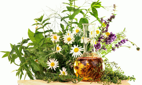 BaBlü® Akademie - Kräuter TEM Heilpflanzen Anwendungen und Ausbildung