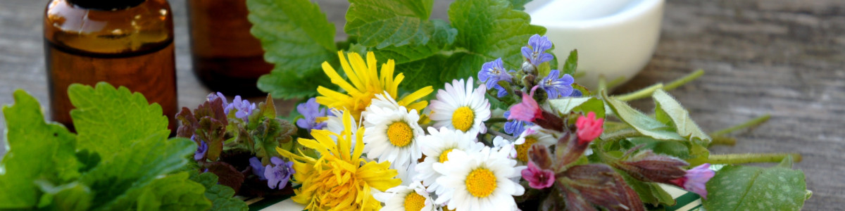 TEM Kräuterkunde und Heilpflanzen