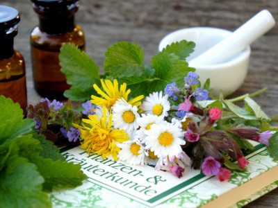 TEM Kräuterkunde und Heilpflanzen