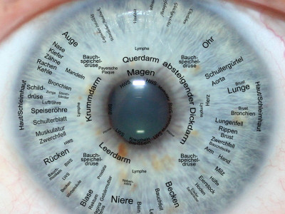 BaBlü® Iridologie Irisdiagnose Ausbildung