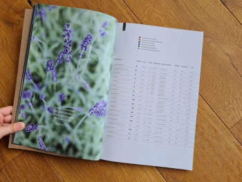 feeling Produktkatalog 2020