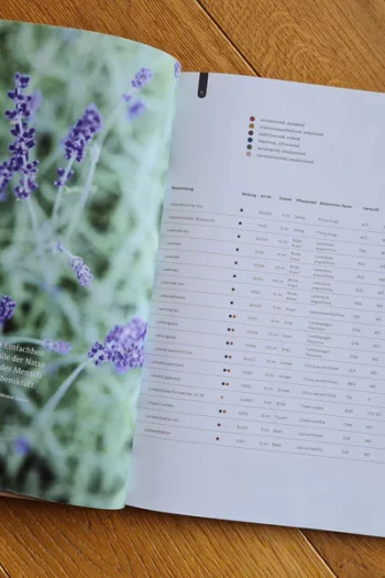 feeling Produktkatalog 2020