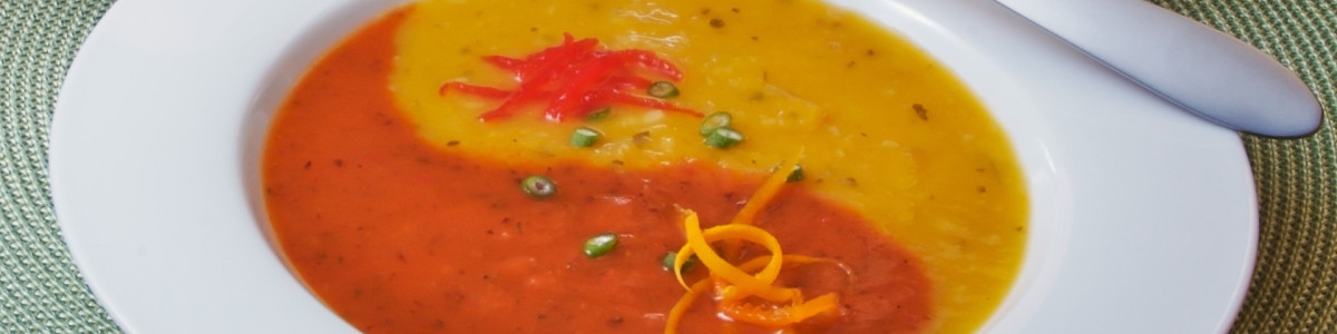 TCM Ernährung nach den 5 Elementen Ausbildungen - Suppe mit Yin Yang Monade