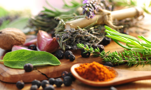 Verschiedene Gewürze | 11 Tipps aus der TCM-Ernährung