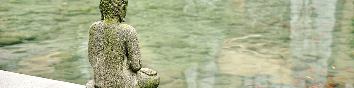 Feng-Shui Lehre - Weisheiten und Wissen für ganzheitliches Wohnen, inneres und äußeres Wohlbefinden.