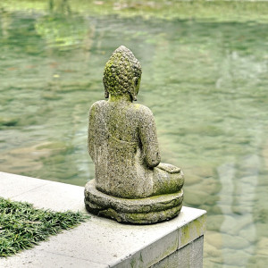 Feng-Shui Lehre - Weisheiten und Wissen für ganzheitliches Wohnen, inneres und äußeres Wohlbefinden.