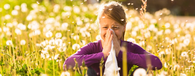  TEM & Heilkräuter für Kinder bei Allergien 