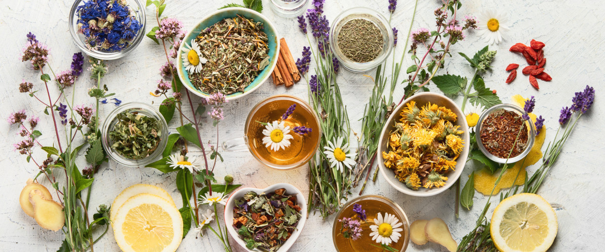 5 Gründe, warum man Heilpflanzen & Hausmitteln für Kinder kennen sollte!