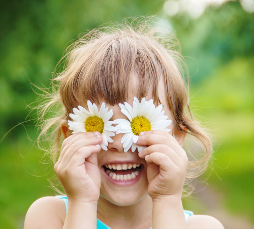 Heilkräuter & Heilpflanzen der TEM für Kinder bei Erkältungskrankheiten, Infekten und zur Prophylaxe, Heilkräuter & Heilpflanzen der TEM für Kinder bei Bauchschmerzen und Magen - Darm - Problemen zur Prophylaxe und als begleitende Maßnahmen zur Selbsthilfe