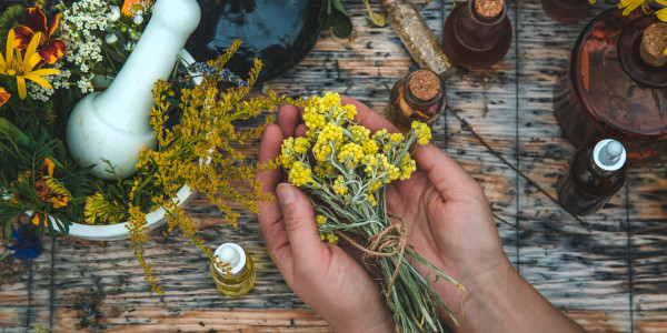 Die Verwendung von Heilpflanzen und Kräutern sowie Hausmitteln ist seit Jahrhunderten ein wichtiger Bestandteil der traditionellen Medizin.