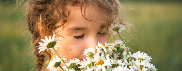  Dipl. TEM-Kräuterexperte/in für Kinder - ONLINE 