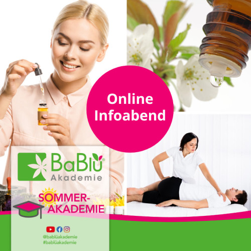 BaBlü Sommerakademie Infoabend