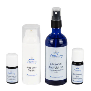 DIY Sonnenpflegeset mit Aloe Vera