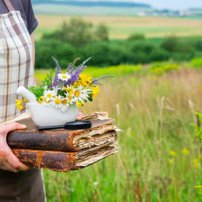 Frau hält Bücher, einen Mörser und eine Lupe in den Händen. Kräutersammler sammelt Heilpflanzen auf einer Wiese.