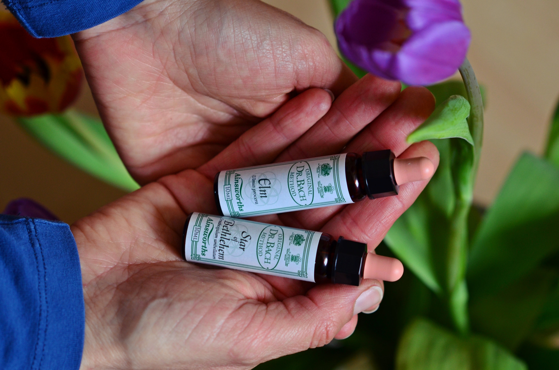 Elm & Star of Betlehem Stockbottles | Sabrina Heiß-Walcher Elm & Star of Betlehem Stockbottles | Sabrina Heiß-Walcher