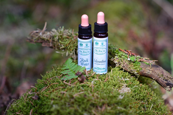 Rock Water & Scleranthus Stockbottles | Sabrina Heiß-Walcher Rock Water & Scleranthus Stockbottles | Sabrina Heiß-Walcher