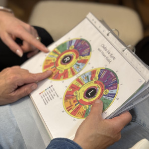 Erklärung Iridologie - Irisdiagnostik | Carina Hartweger