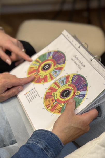 Erklärung Iridologie - Irisdiagnostik | Carina Hartweger Erklärung Iridologie - Irisdiagnostik | Carina Hartweger