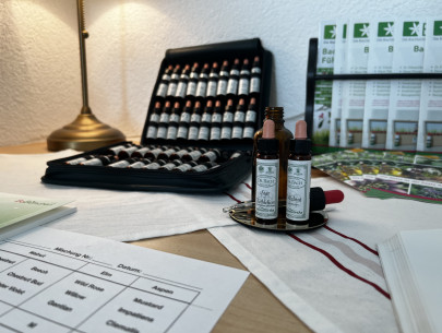 Bachblüten Set und Stockbottles | Stefanie Schaffler Bachblüten Set und Stockbottles | Stefanie Schaffler