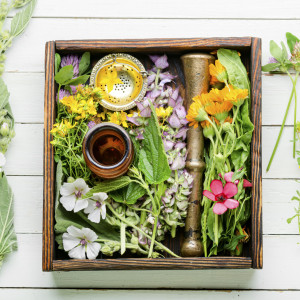 Naturapotheke Kräuter Naturapotheke Kräuter