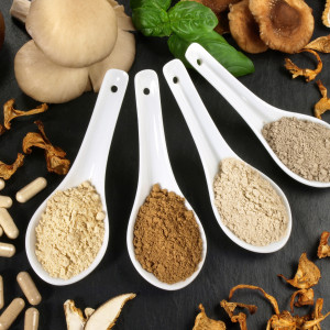 Heilpilze - Vitalpilze Heilpilze - Vitalpilze