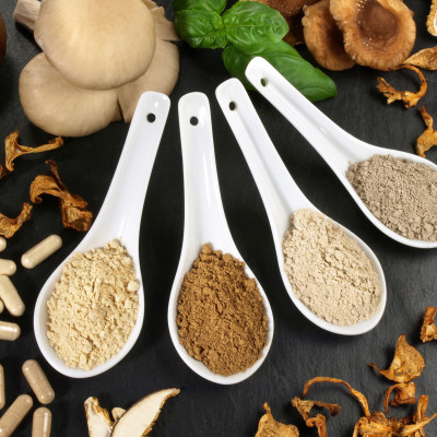 Heilpilze - Vitalpilze