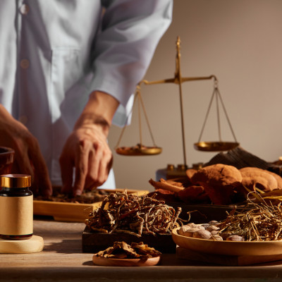 Gratis-Webinar: Heilpilze (Vitalpilze) für die Hausapotheke!