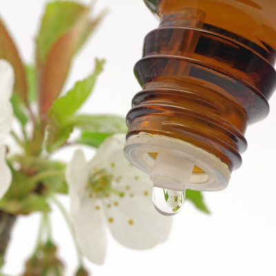 Gratis-Webinar: Seelenkosmetik & Bachblüten Hautzonen® - Psychosomatische Ursachen vom Körper ablesen!