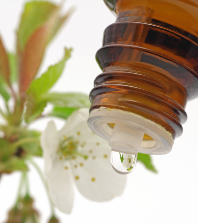 Gratis-Webinar: Seelenkosmetik & Bachblüten Hautzonen® - Psychosomatische Ursachen vom Körper ablesen!