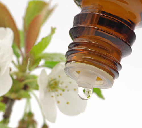 Gratis-Webinar: Seelenkosmetik & Bachblüten Hautzonen® - Psychosomatische Ursachen vom Körper ablesen!