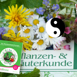 Gratis-Webinar: Die 24-Meisterkräuter-Hausapotheke