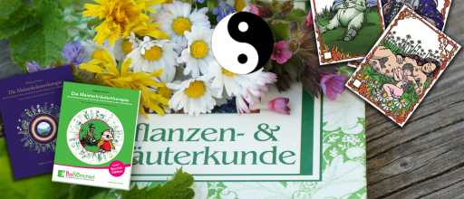Die wichtigsten Meisterkräuter für eine gute Verdauung