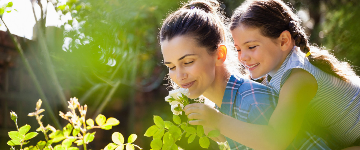 Gratis-Webinar: Kräuter-Hausapotheke für Kinder!
